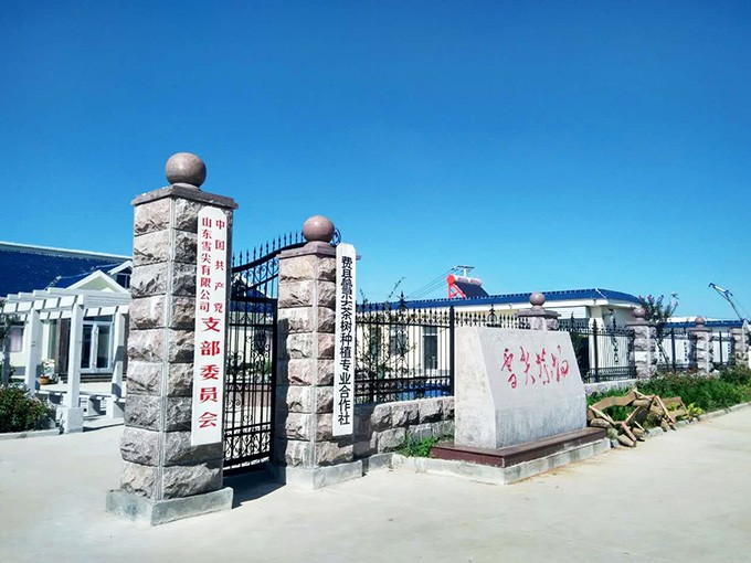 雪尖茶場(chǎng)