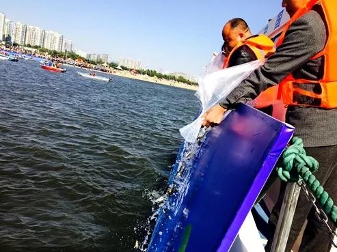 體驗(yàn)線(xiàn)下放魚(yú)